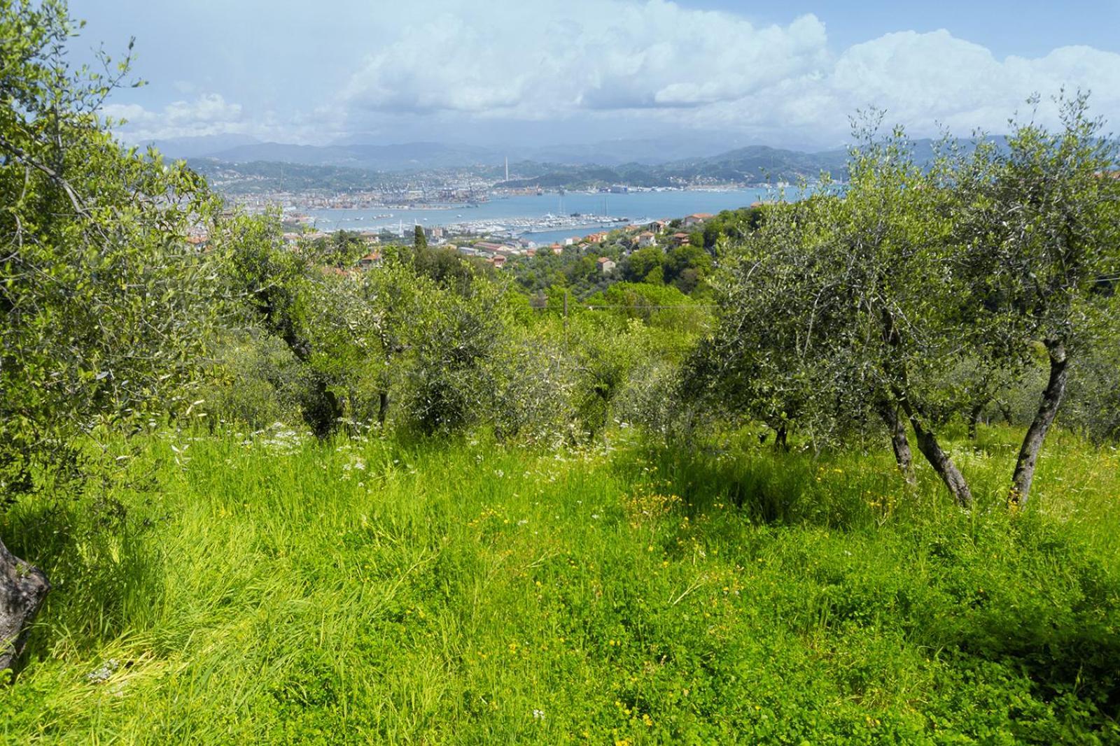 דירות לה ספציה Gli Ulivi Sul Golfo E Le 5 Terre מראה חיצוני תמונה