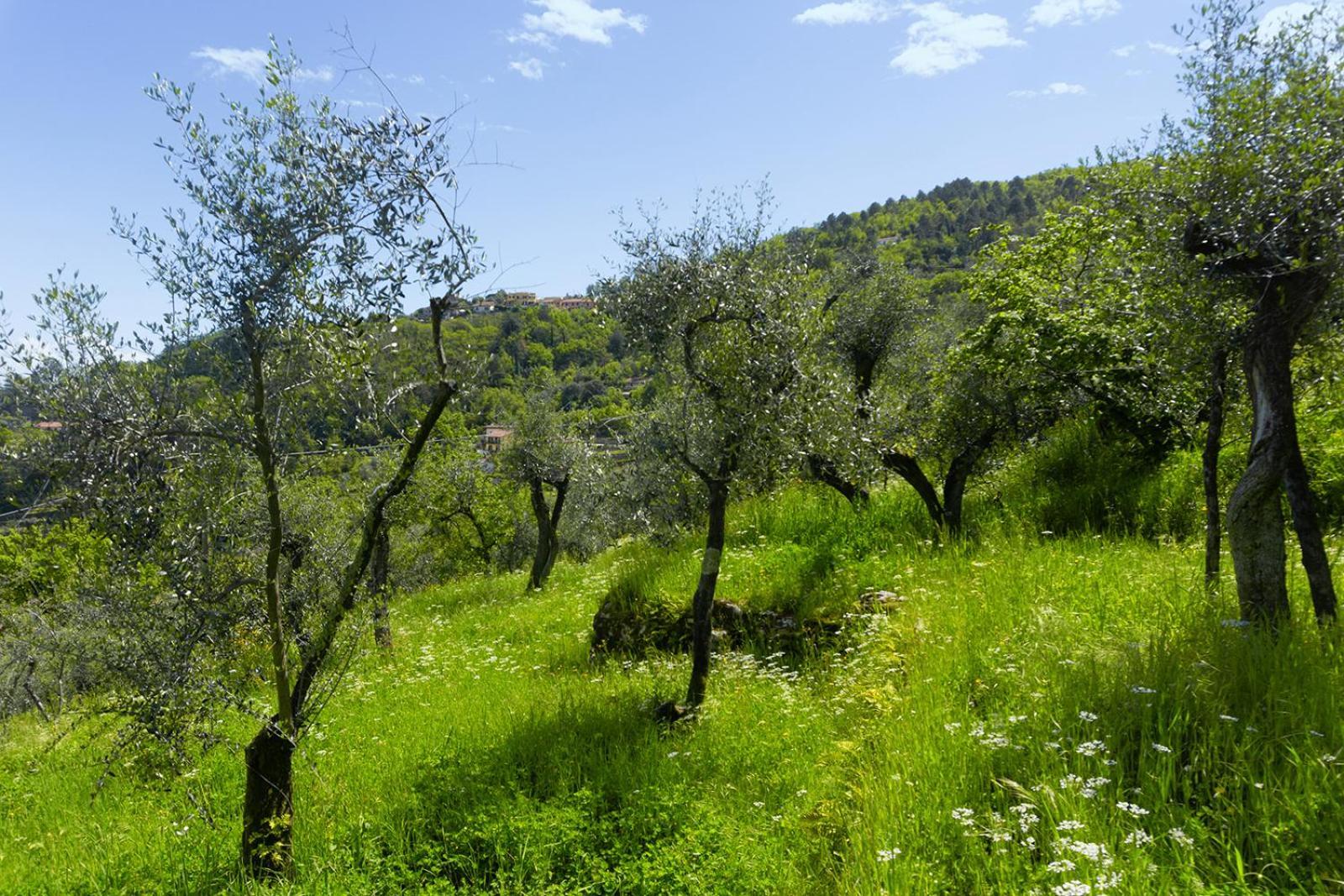 דירות לה ספציה Gli Ulivi Sul Golfo E Le 5 Terre מראה חיצוני תמונה