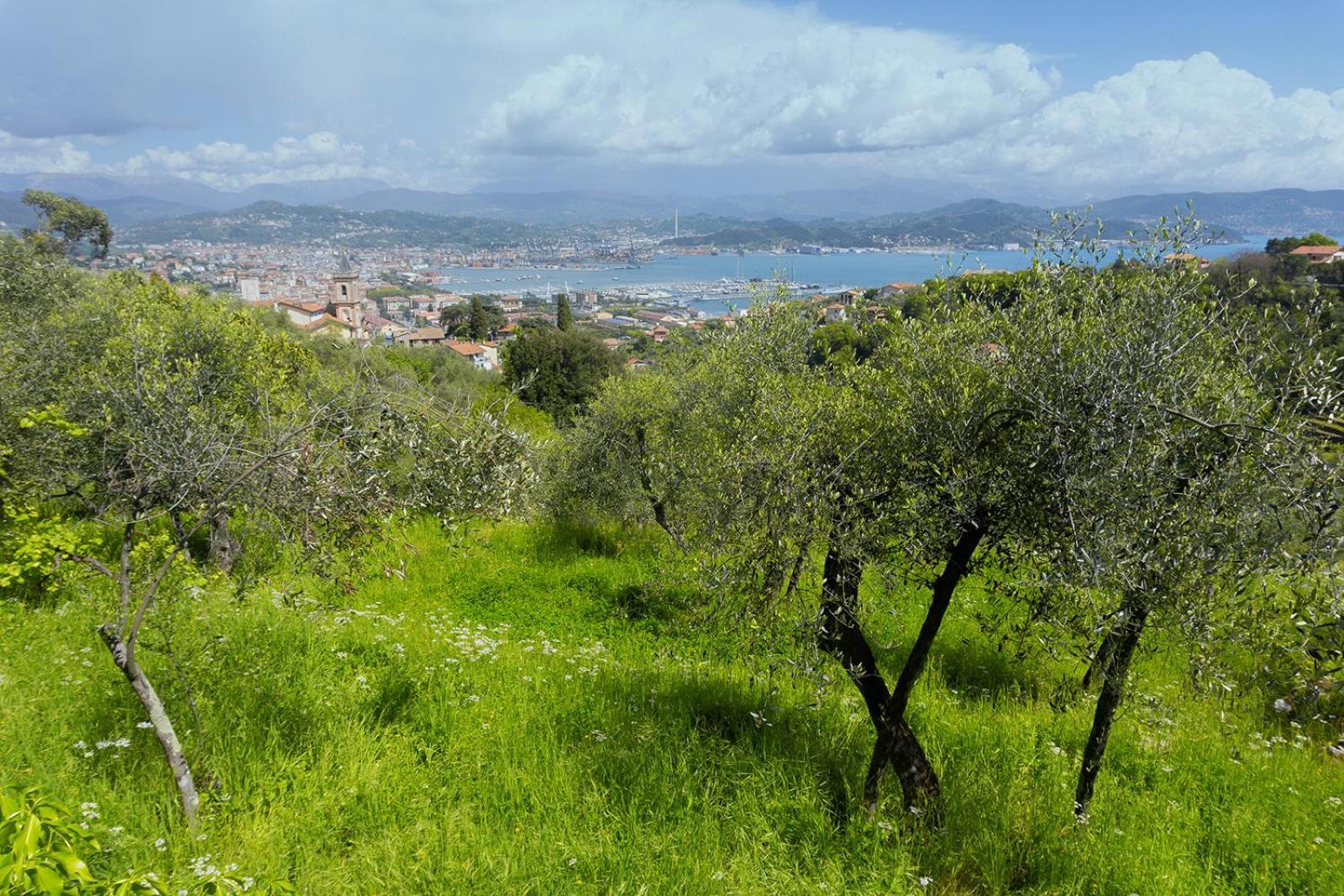 דירות לה ספציה Gli Ulivi Sul Golfo E Le 5 Terre מראה חיצוני תמונה