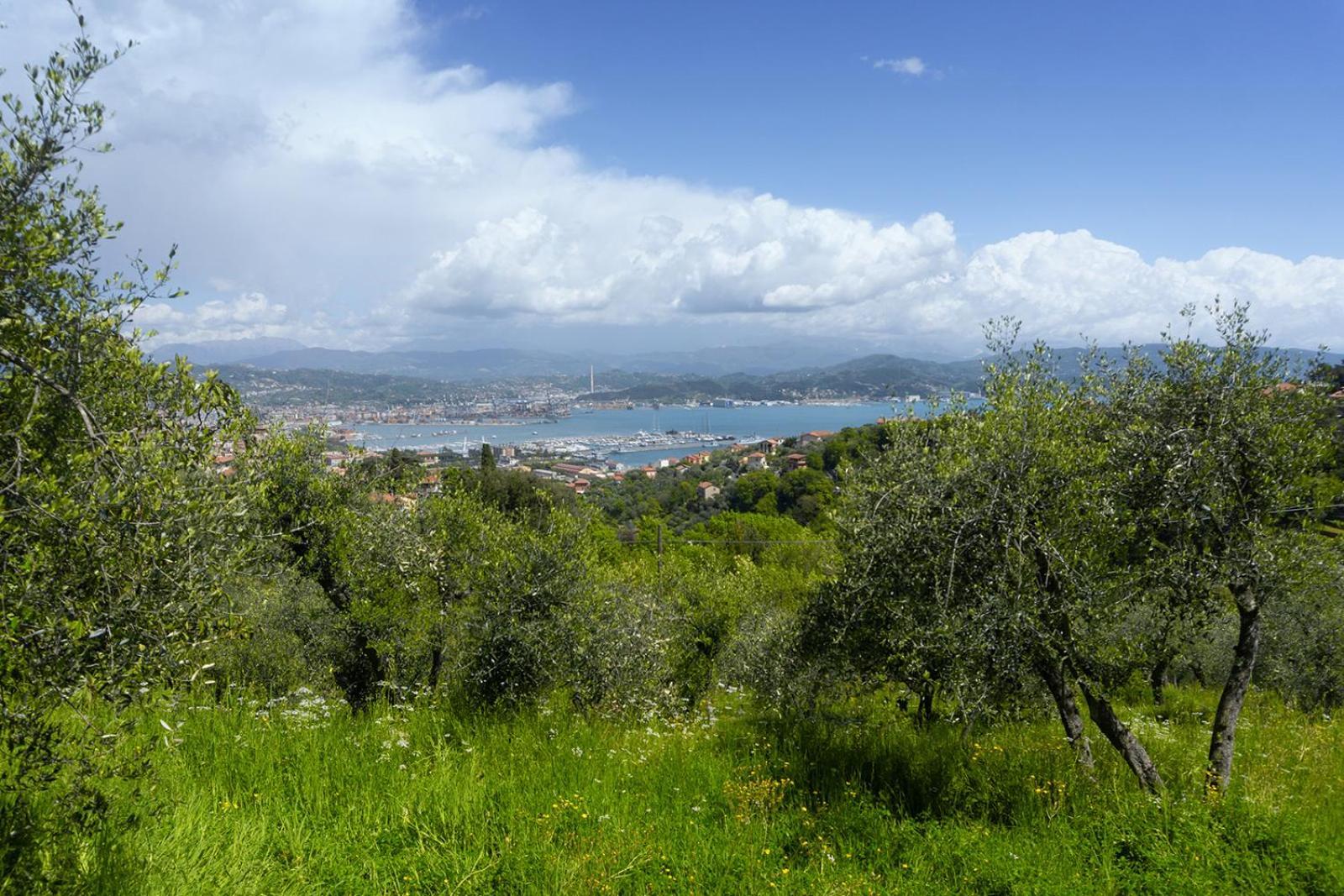 דירות לה ספציה Gli Ulivi Sul Golfo E Le 5 Terre מראה חיצוני תמונה