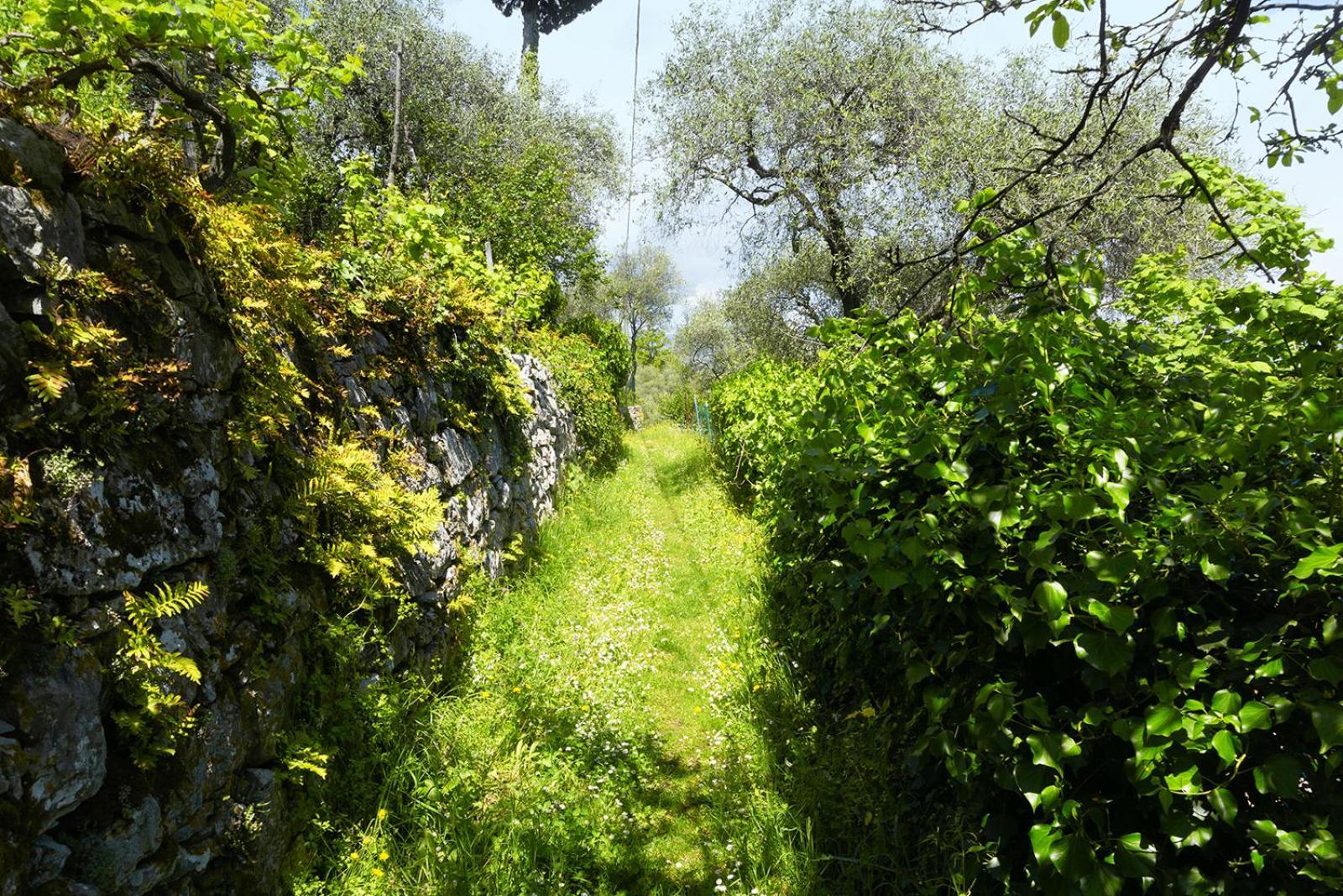 דירות לה ספציה Gli Ulivi Sul Golfo E Le 5 Terre מראה חיצוני תמונה