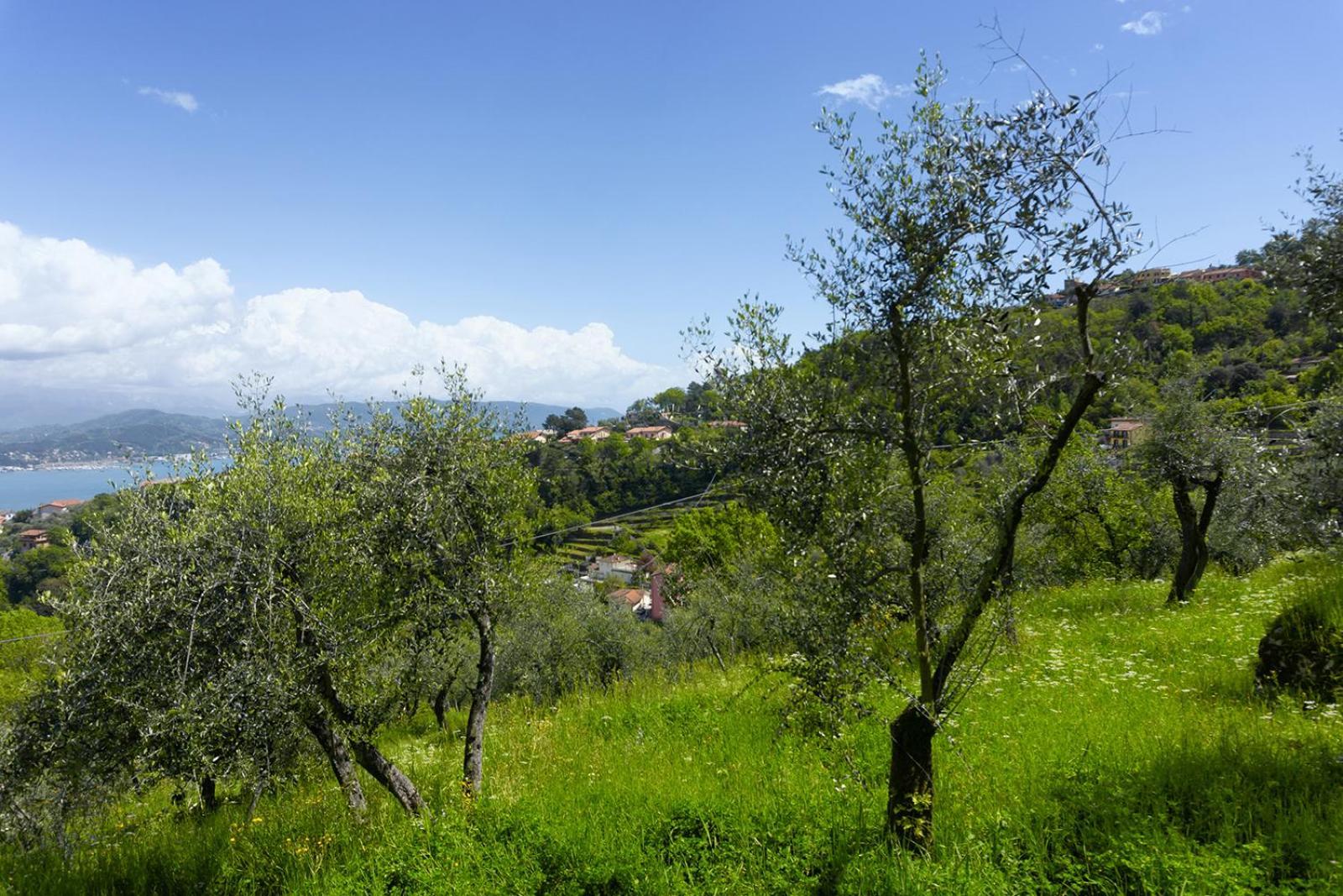 דירות לה ספציה Gli Ulivi Sul Golfo E Le 5 Terre מראה חיצוני תמונה