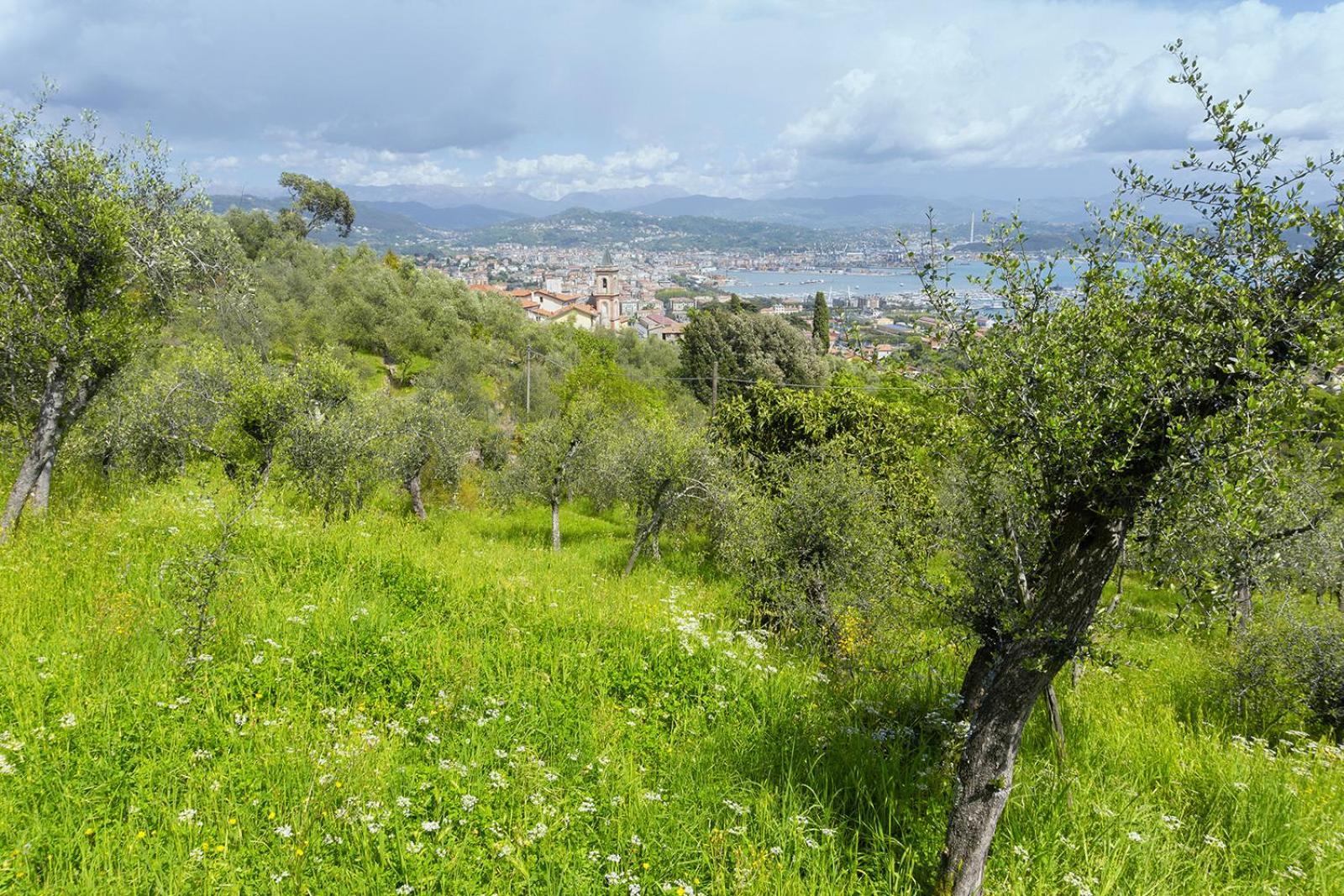 דירות לה ספציה Gli Ulivi Sul Golfo E Le 5 Terre מראה חיצוני תמונה