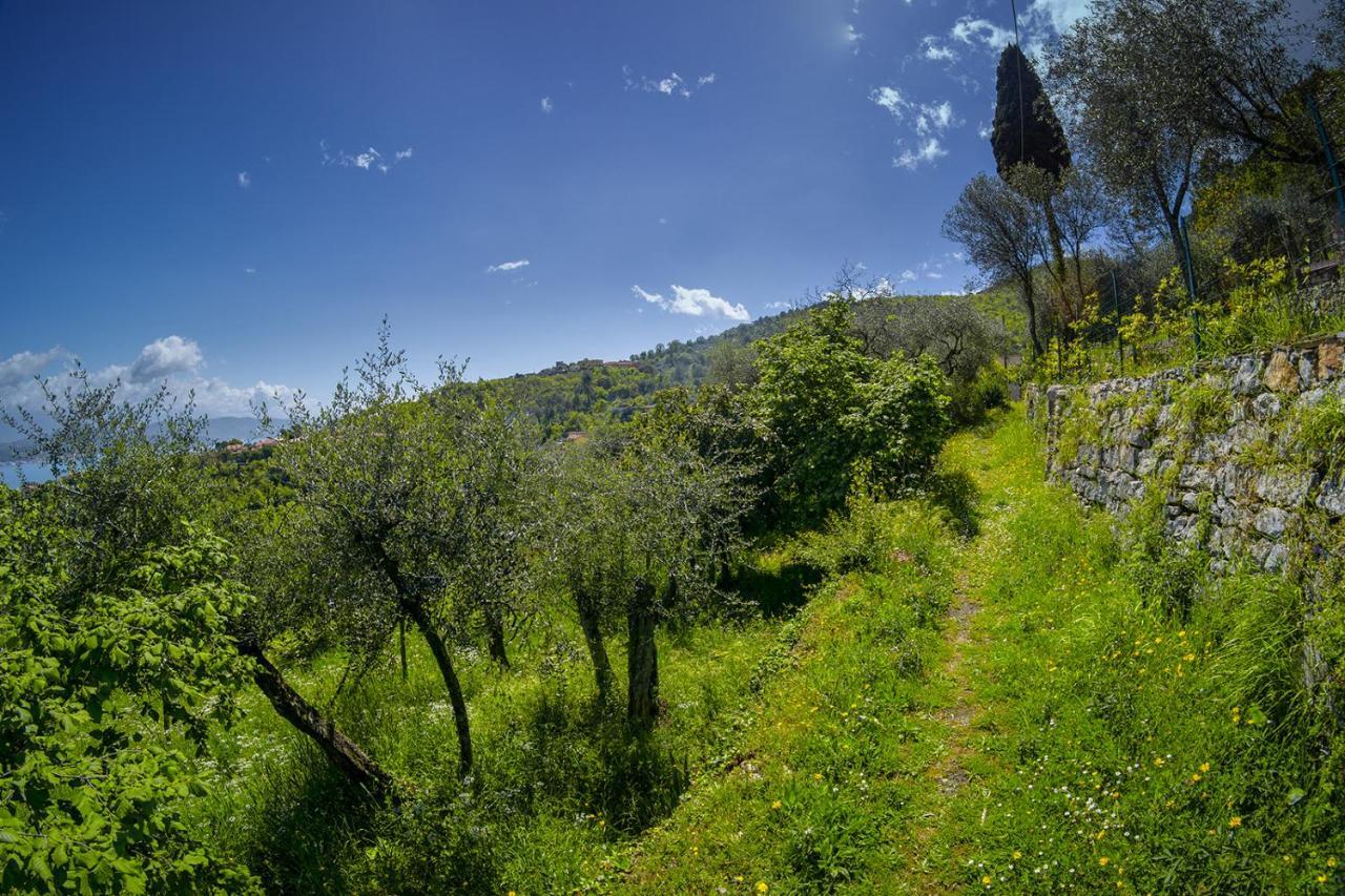 דירות לה ספציה Gli Ulivi Sul Golfo E Le 5 Terre מראה חיצוני תמונה